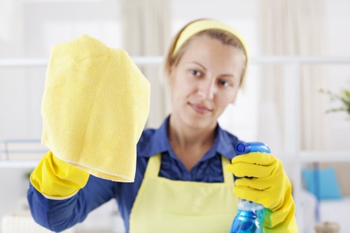 Professional mattress cleaning service for a Canary Wharf apartment bedroom