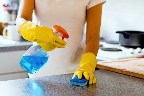 Kitchen and bathroom cleaning in a Canary Wharf flat