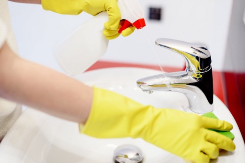 Domestic cleaner working in a high-rise home in Canary Wharf