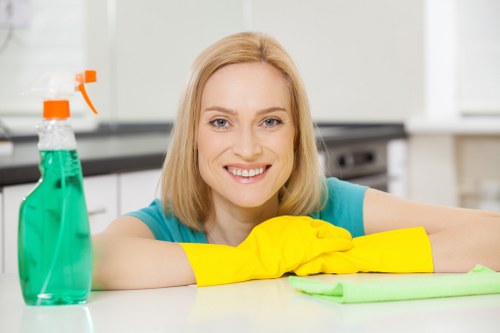 Professional cleaning of a high-rise flat in Canarywharf before handover