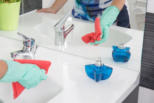 Kitchen and bathroom domestic cleaning for Canary Wharf residents
