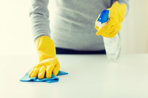 Supervisor checking equipment safety before cleaning tasks