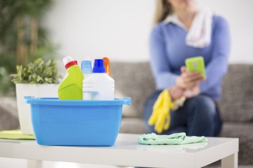 Low-carbon van used for sustainable cleaning and recycling routes