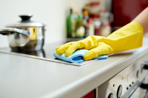 Final review stage of a cleaner complaints procedure with documented outcome