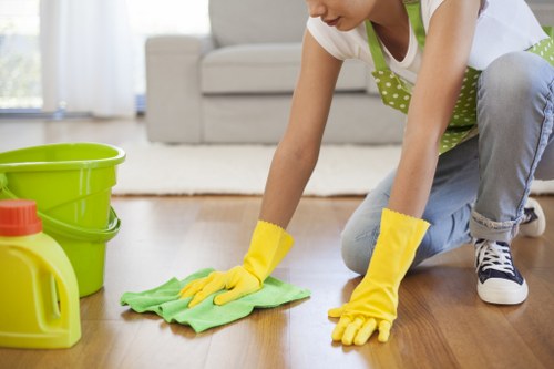 Deep cleaning of upholstered chairs in a modern Canary Wharf home
