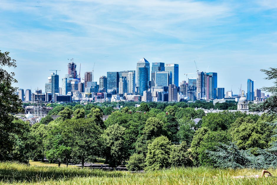 A panoramic view of a modern city skyline in the background, featuring high-rise office buildings and skyscrapers with glass facades reflecting sunlight, against a blue sky with some wispy clouds. In the foreground, a lush green park with dense trees and well-maintained grass provides a natural contrast. The trees include a variety of mature species, some with dense foliage and others with lighter leaves. The park appears clean and well-kept, with no visible litter or debris, exemplifying outdoor space maintenance. Soft natural lighting highlights the vibrant green of the trees and the reflective surfaces of the buildings, suggesting a bright, clear day. Mention of Canary Wharf Cleaner is not visible in the image, but this description is in the context of providing detailed, accurate imagery related to cleaning and maintenance environments.